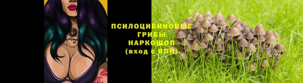 молекула духа Зерноград