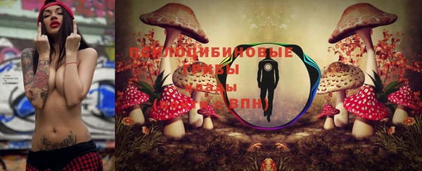 молекула духа Зерноград